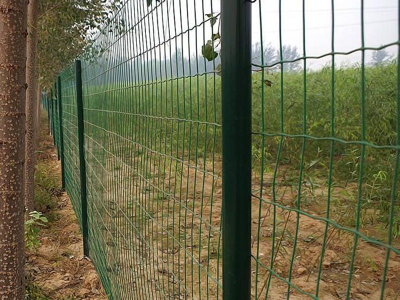 �B(y��ng)ֳ�o(h��)�W(w��ng)