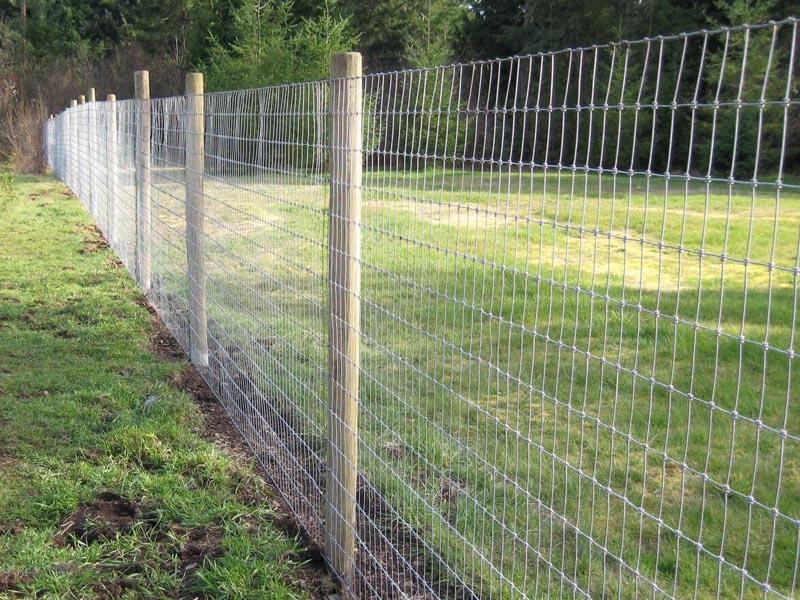 草原護欄網(wǎng)