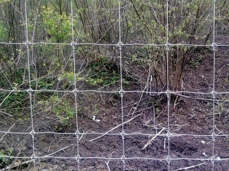 草原護欄網(wǎng)